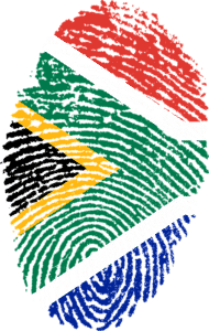 trading south africa