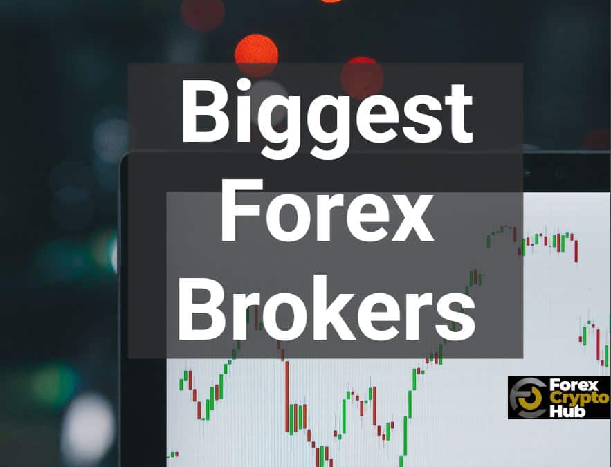 Read more about the article Biggest Forex Brokers 2025