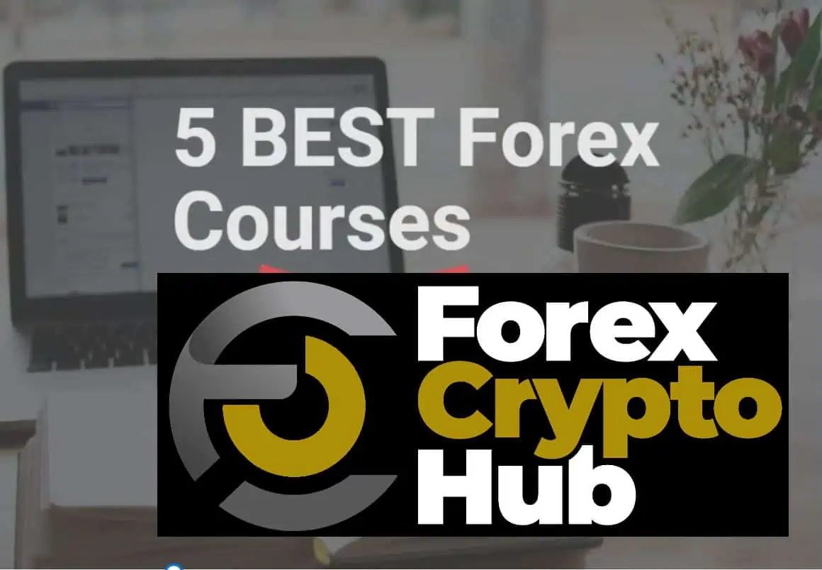 You are currently viewing 5 BEST Forex Courses in 2023